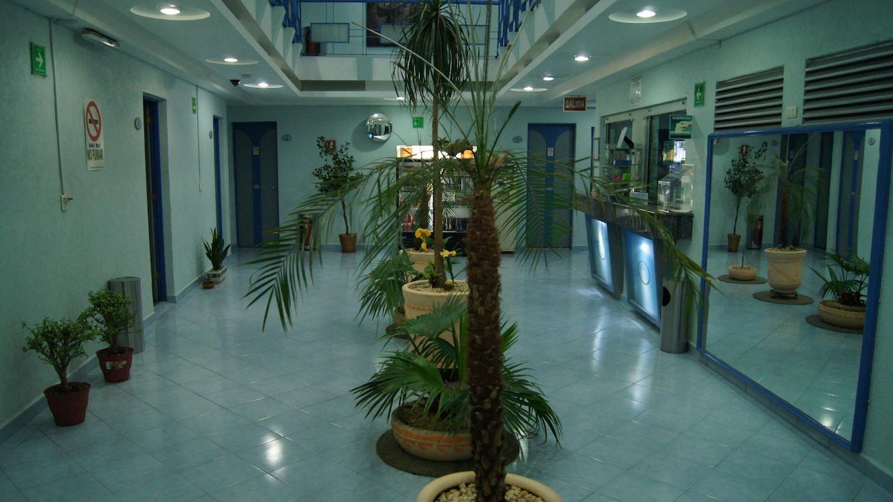 Hotel Muy (Adults Only) Mexico City Ngoại thất bức ảnh